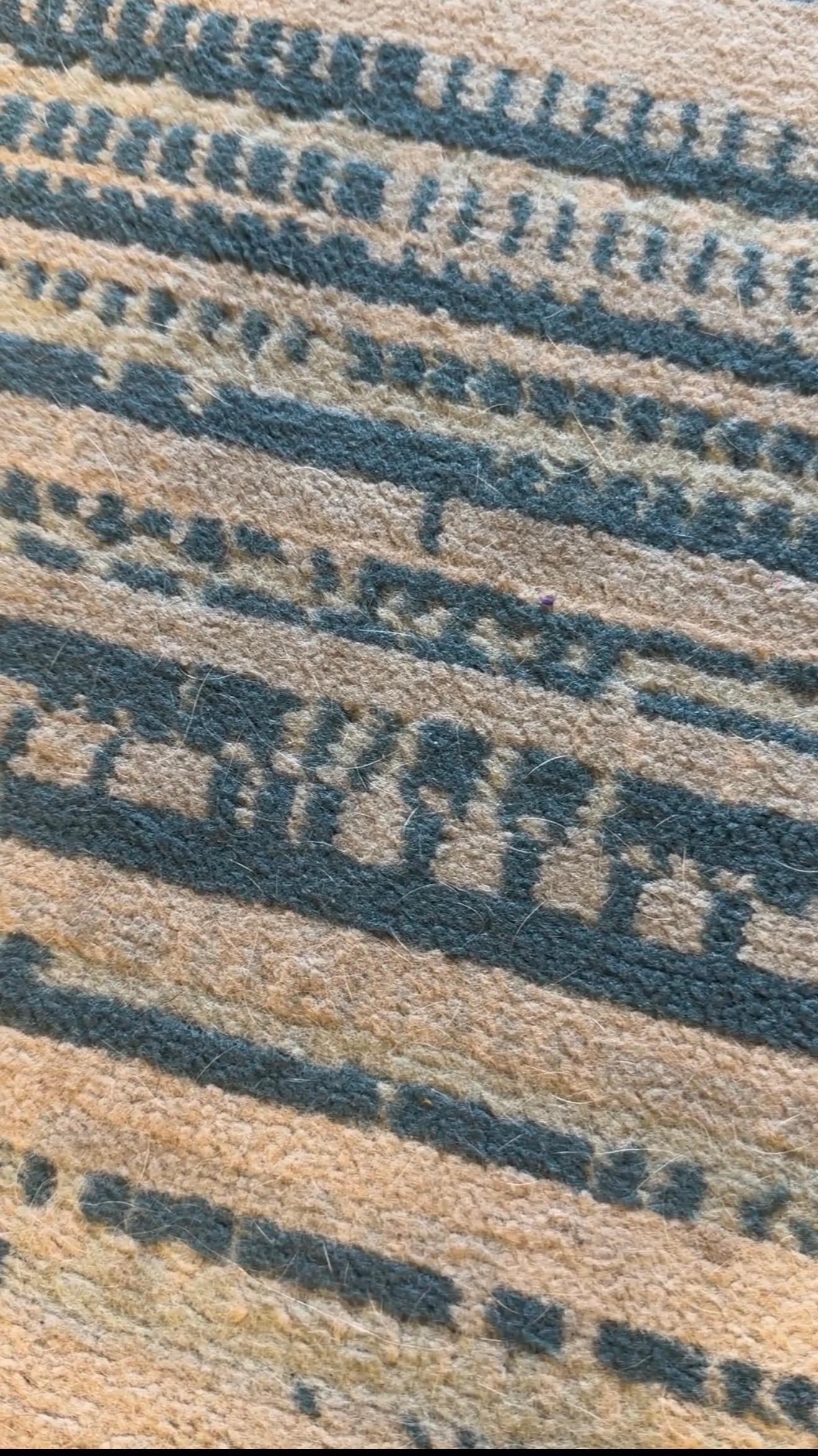 A vacuum probably would have taken care of the hair…the one they had on site didn’t clean it up. 