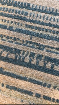 A vacuum probably would have taken care of the hair…the one they had on site didn’t clean it up.