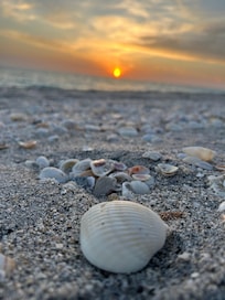 Sunset view across the road