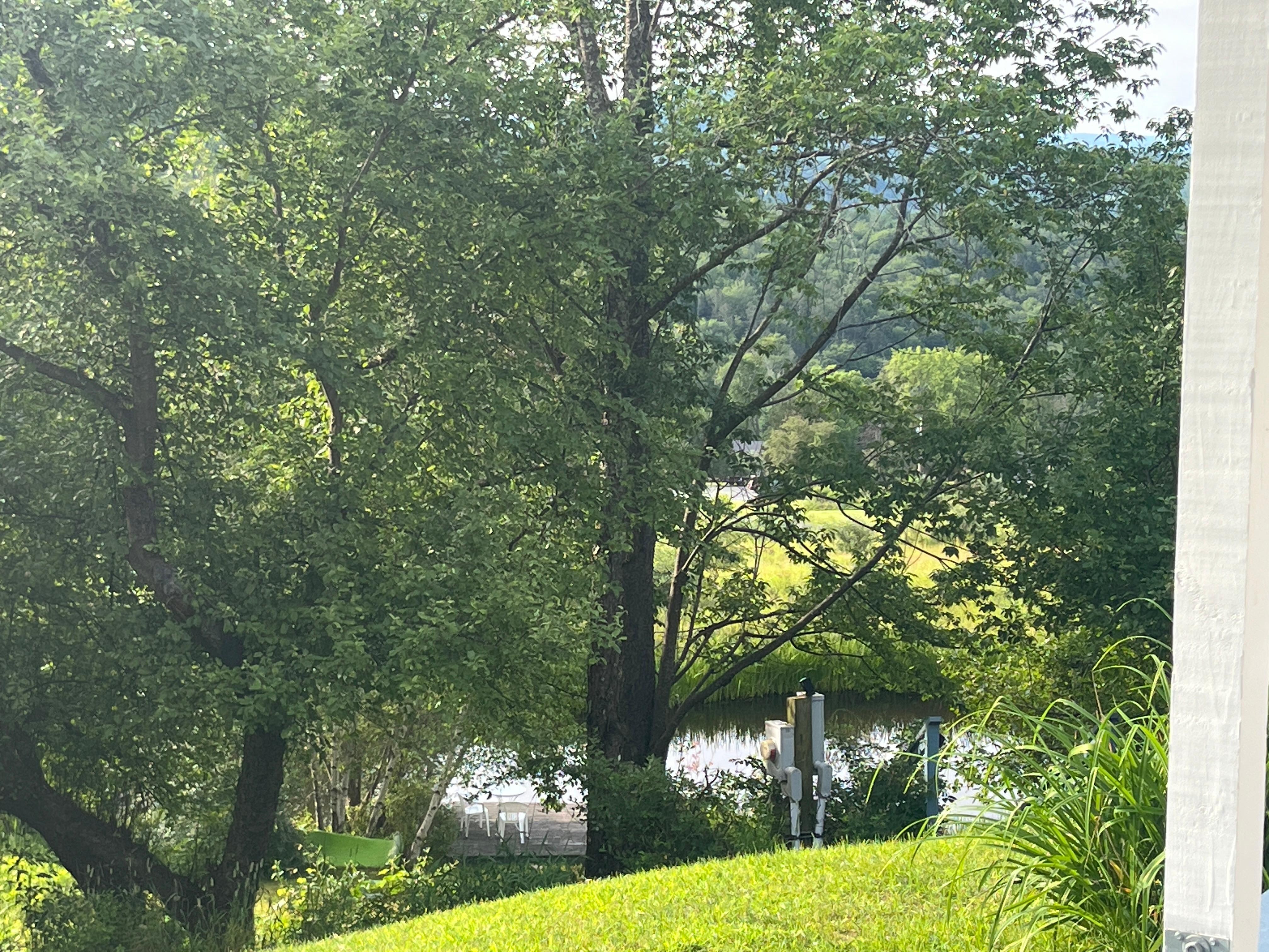 The swimming pond and dock from afar 