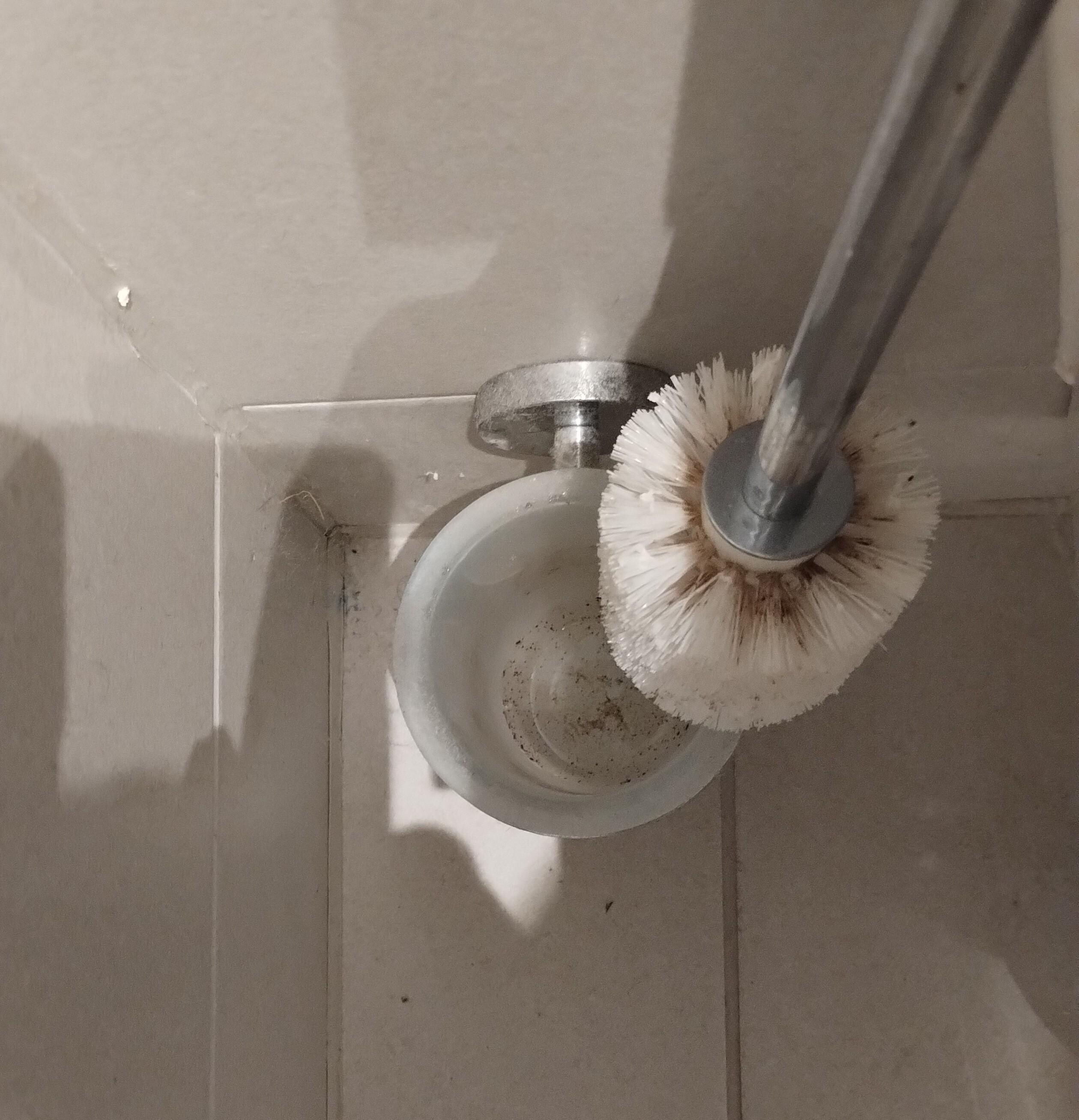 Dirty toilet brush and holder plus cobwebs in corner