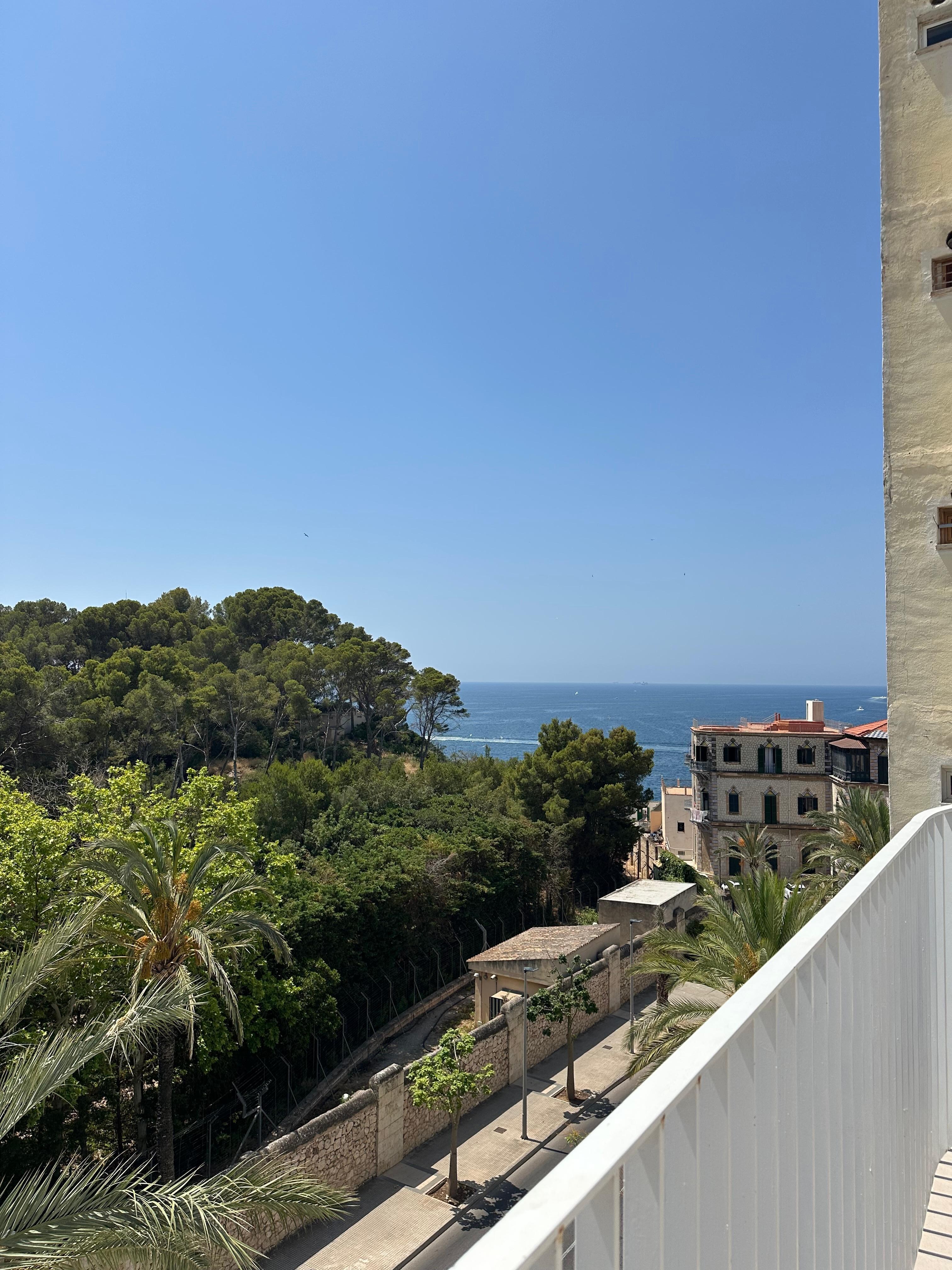 View from rooftop