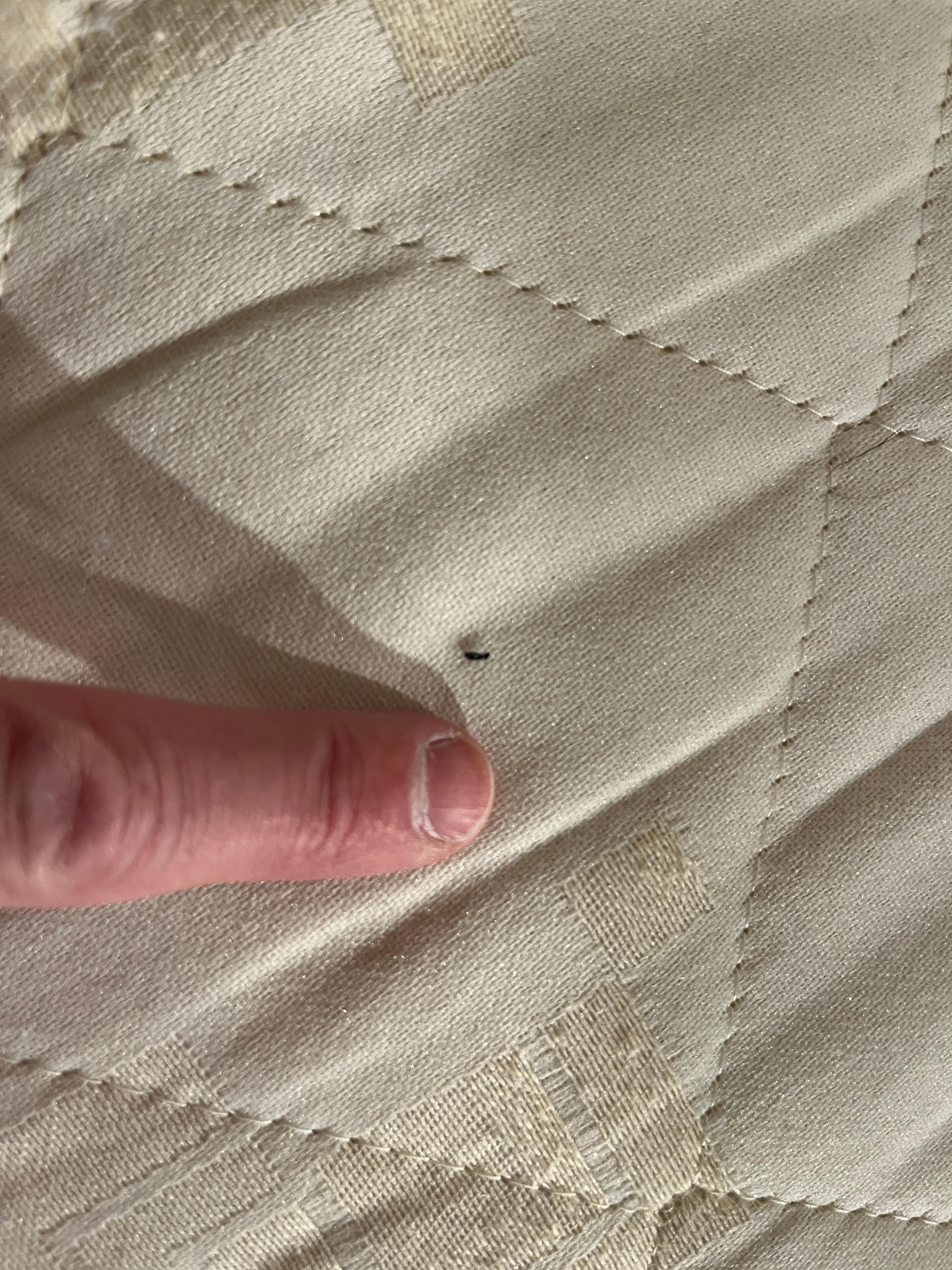 A dead bedbug in my bed. Pretty sure there were more lurking in the dark…