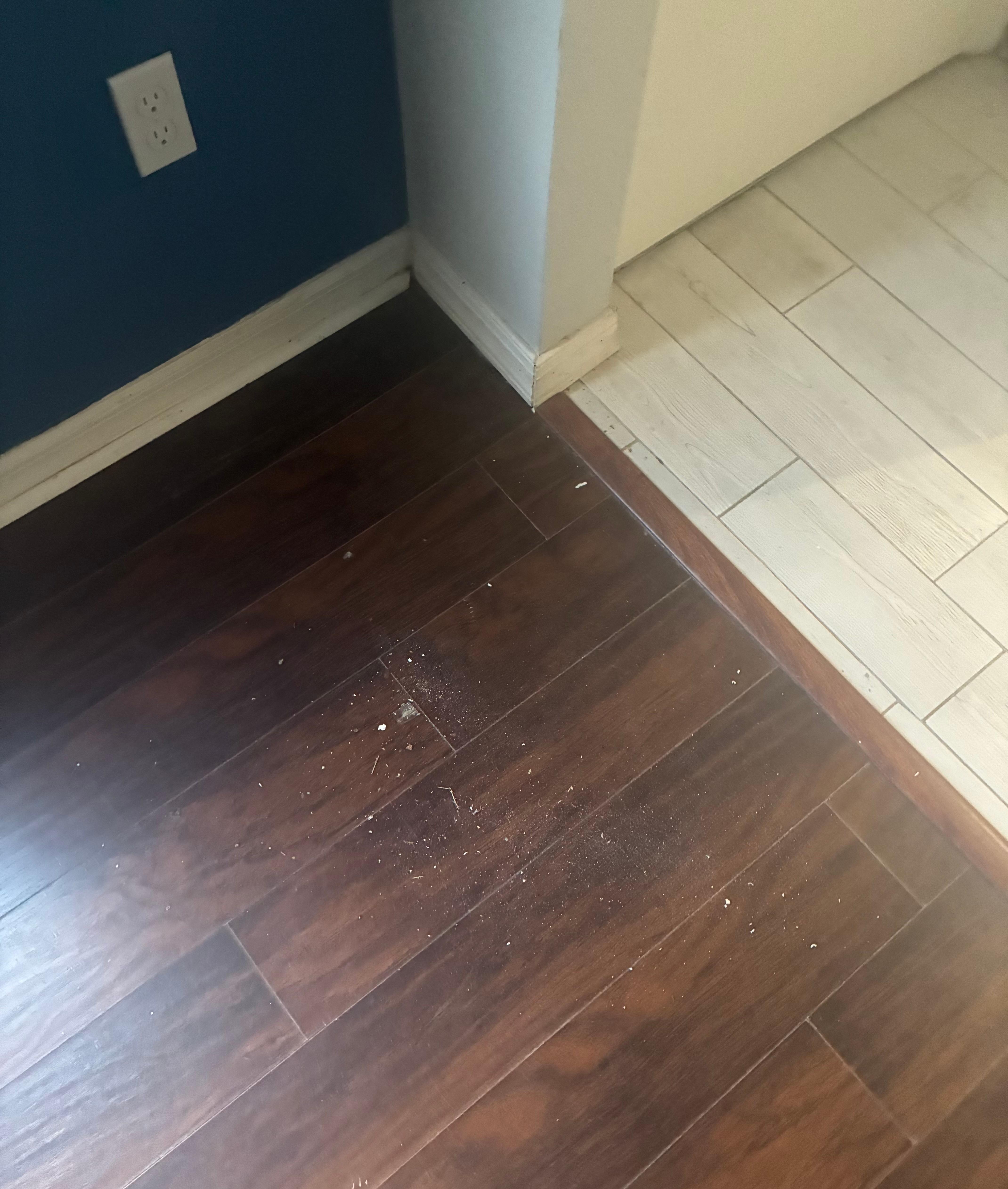 All the dirt and dust  I collected on the floor just in that section 