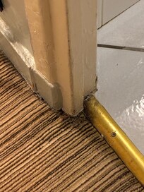 Entrance to the bathroom. Mold.