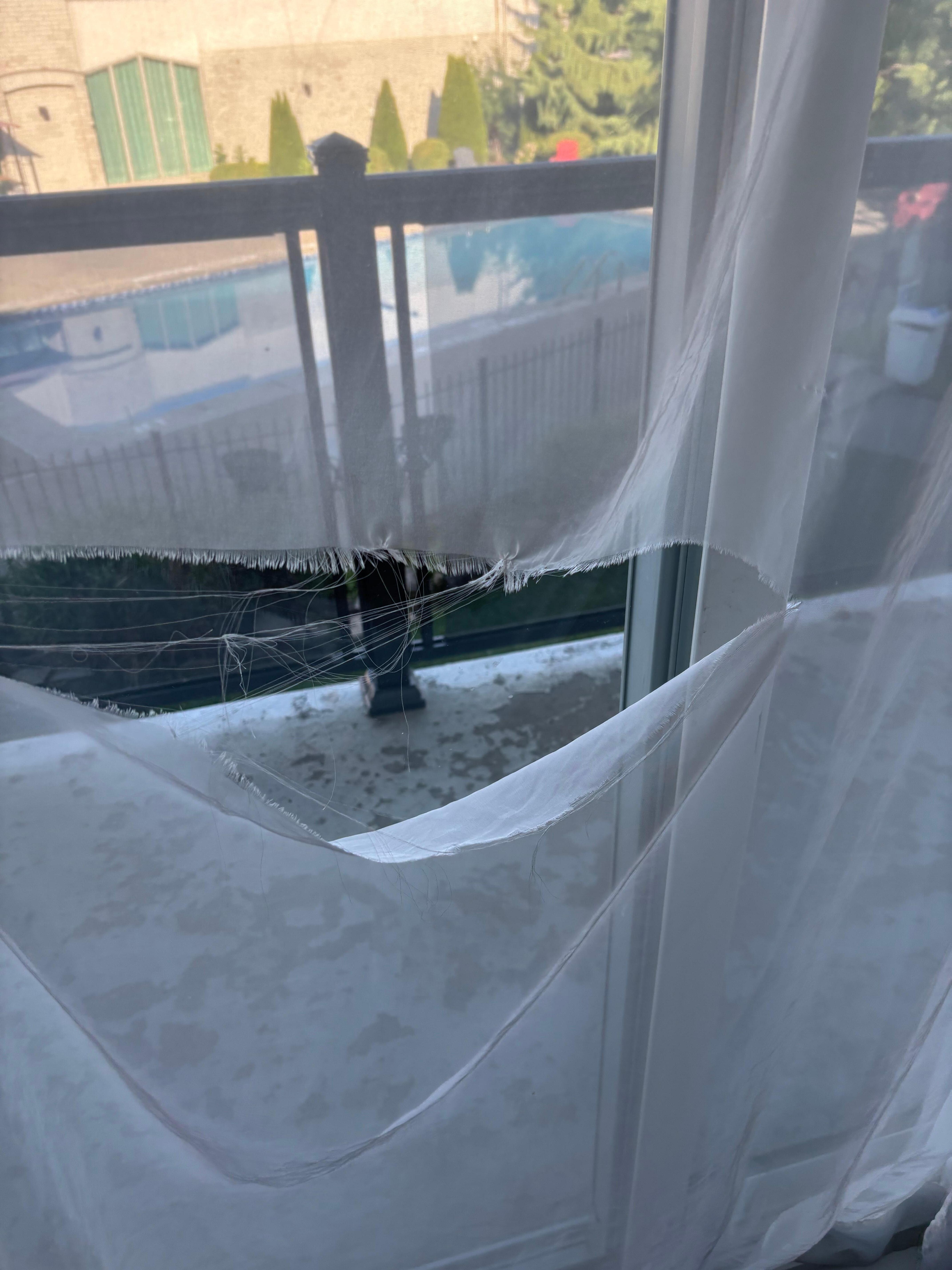 Torn drapes