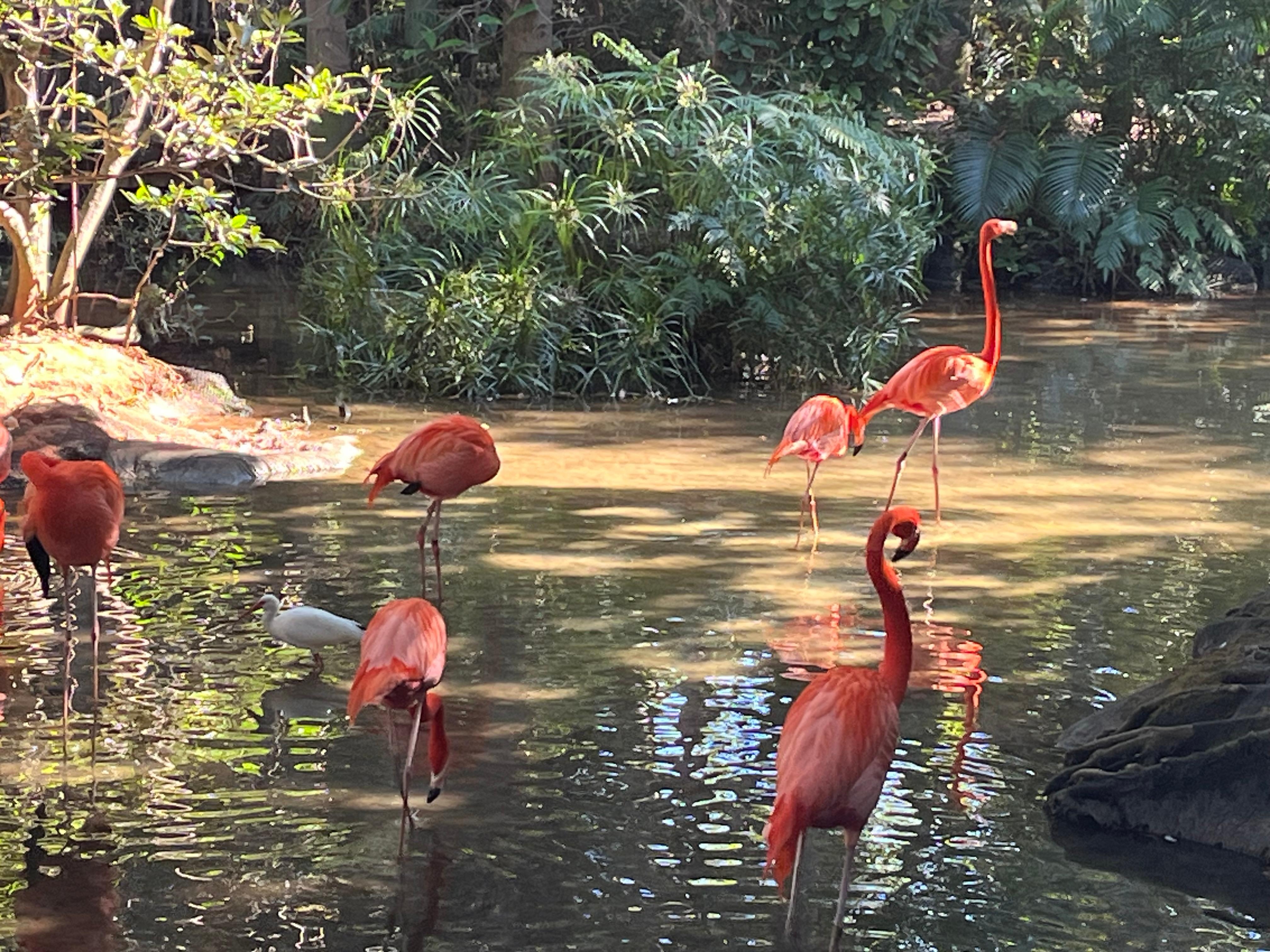 West palm was awesome 