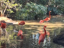 West palm was awesome