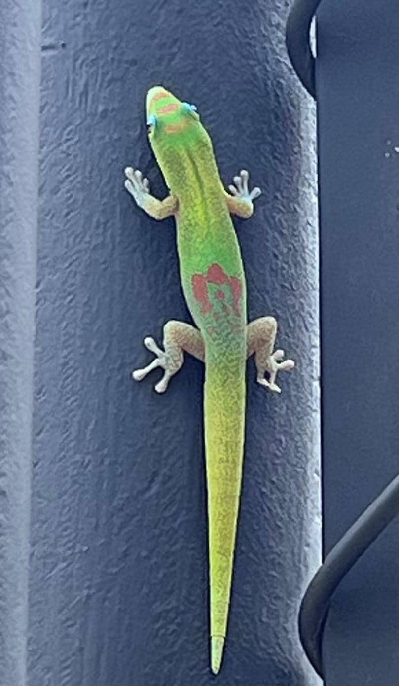 Little adorable friends