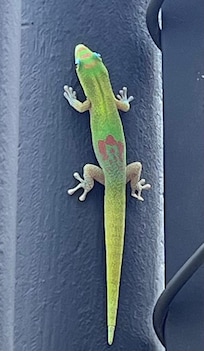 Little adorable friends