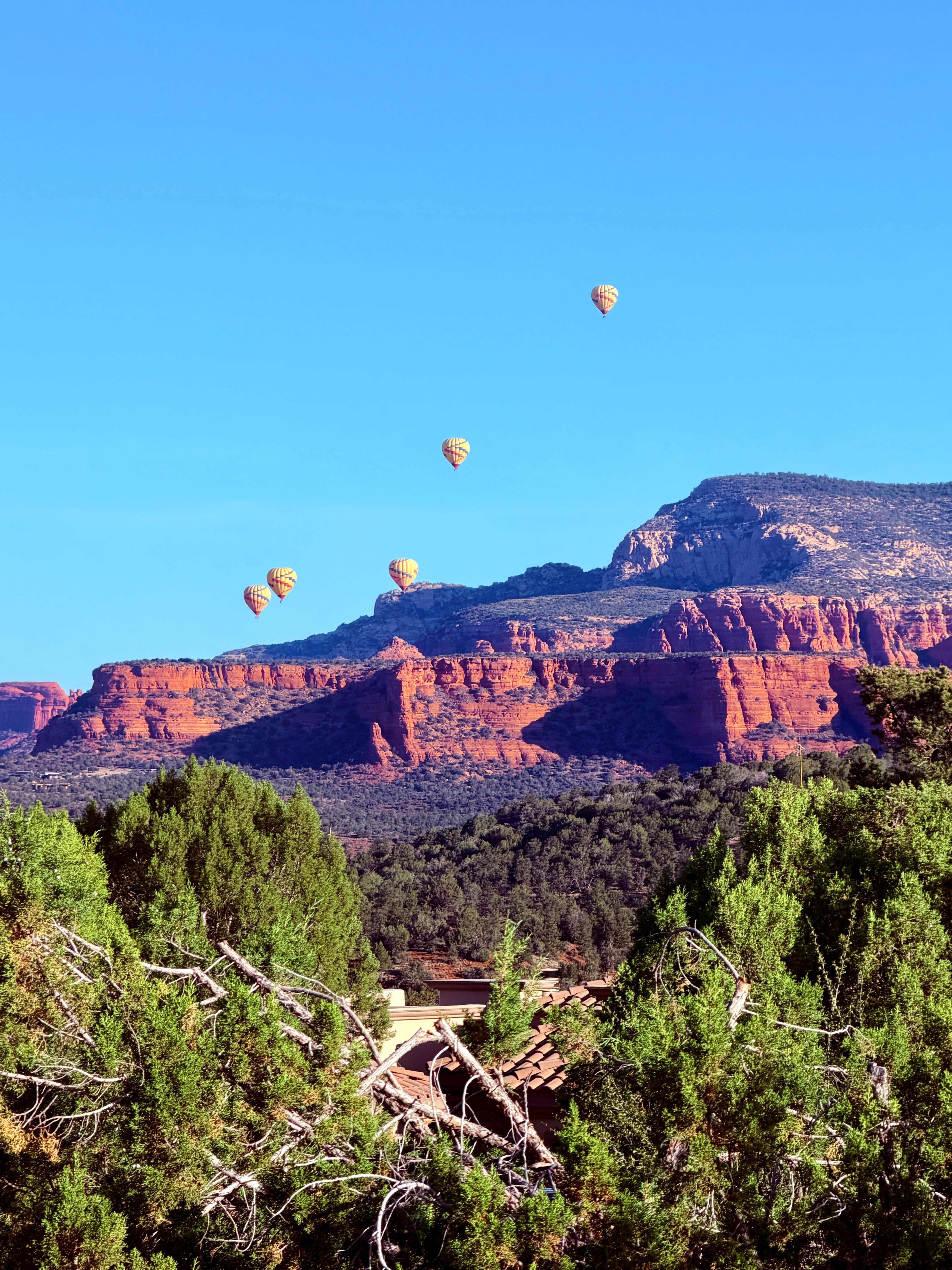 View of the balloons from our patio
