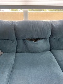 The main sofa in the living room.