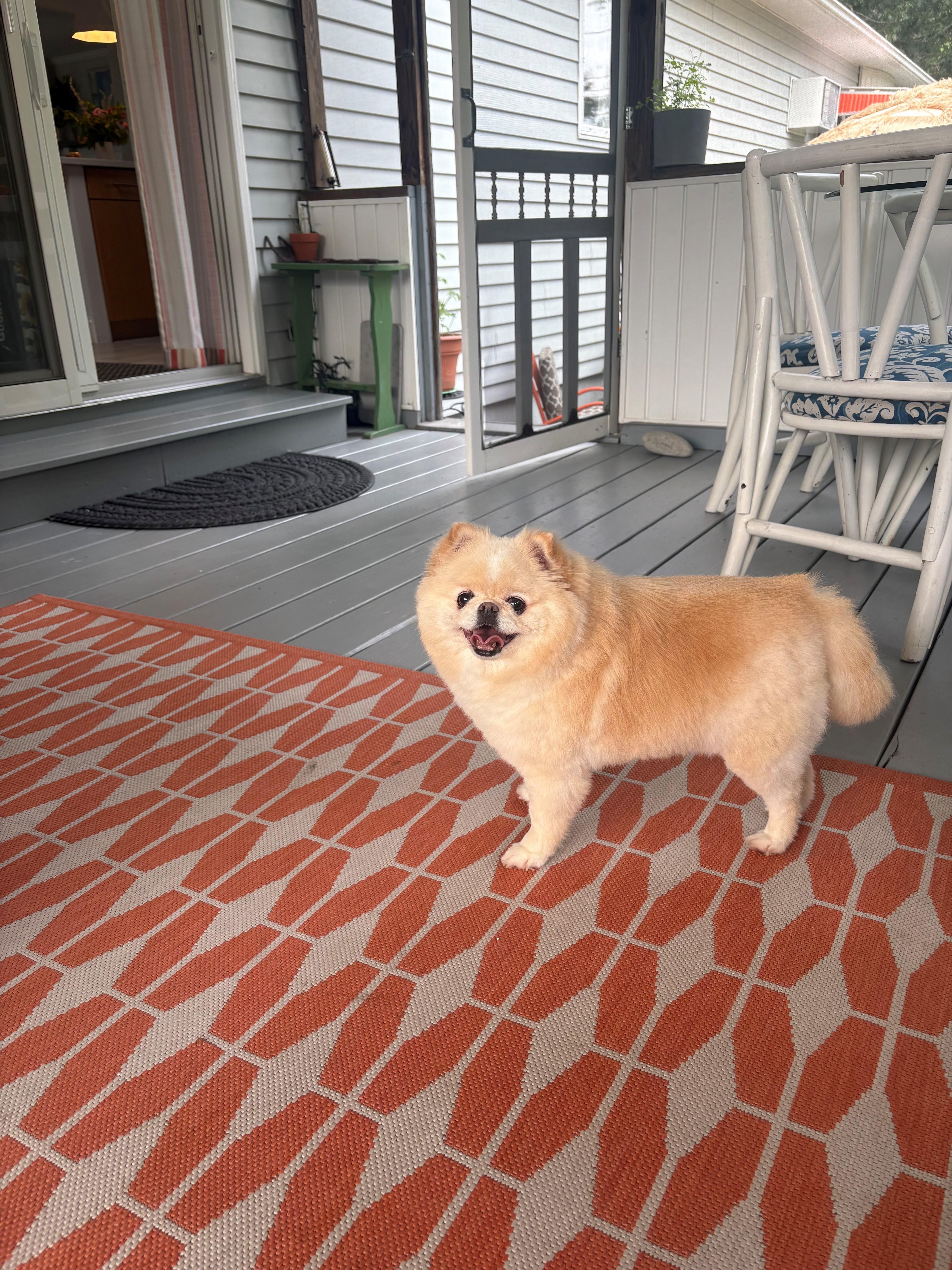 Porch