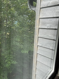 Claw marks on condo