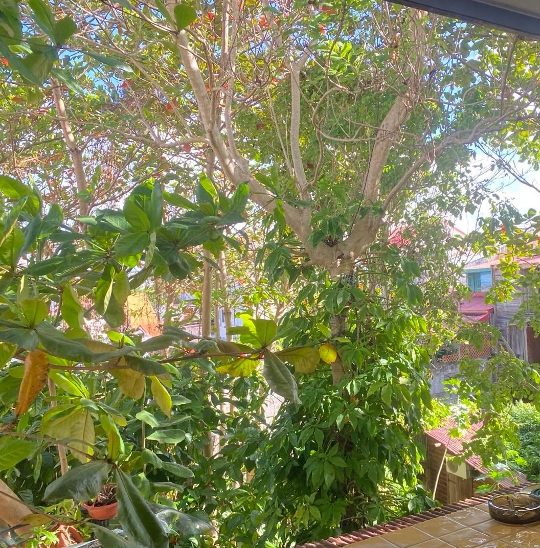 Blick aus dem Gemeinschaftsraum in den Hinterhof