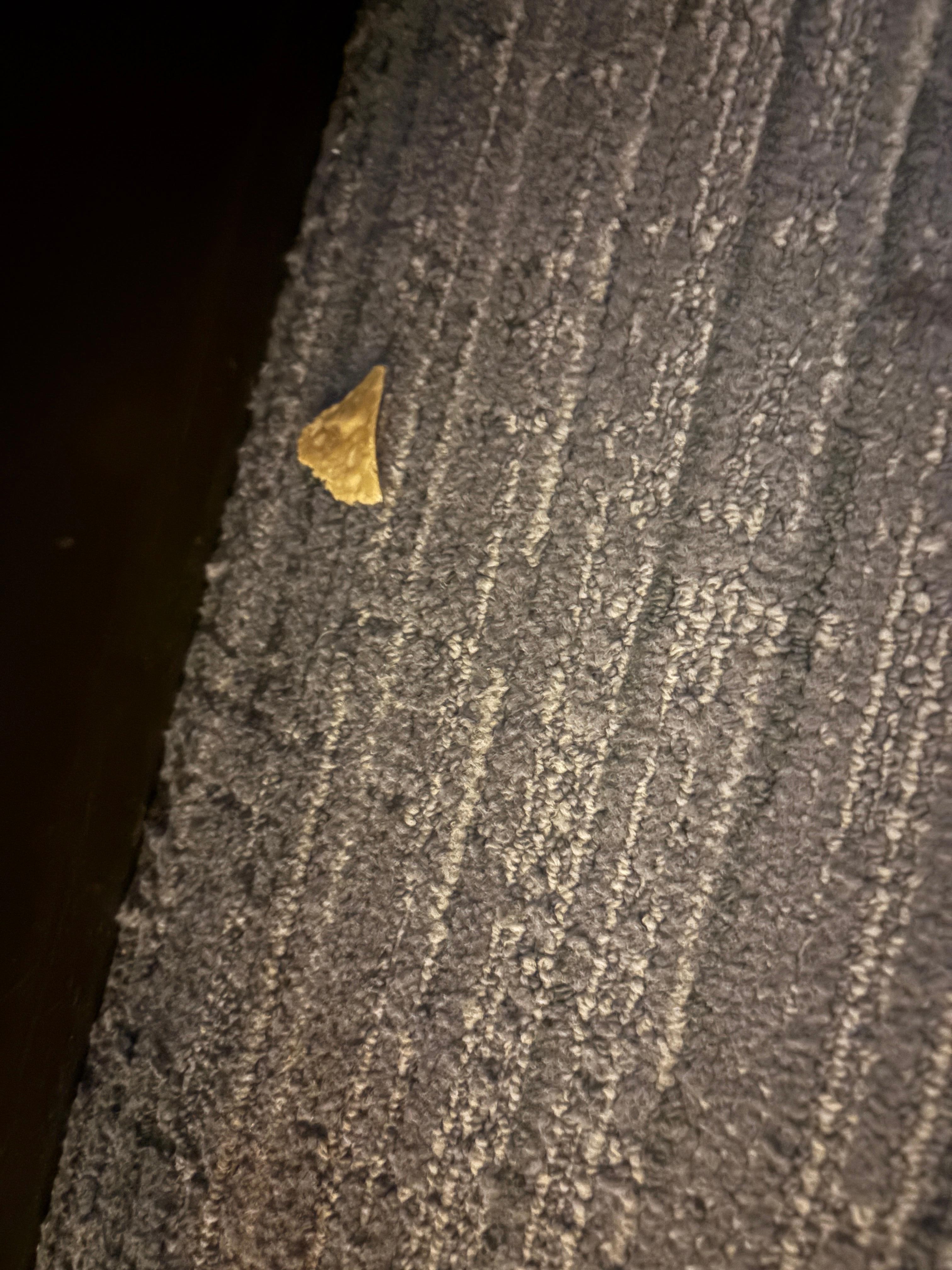 Crisps on floor under bed. 