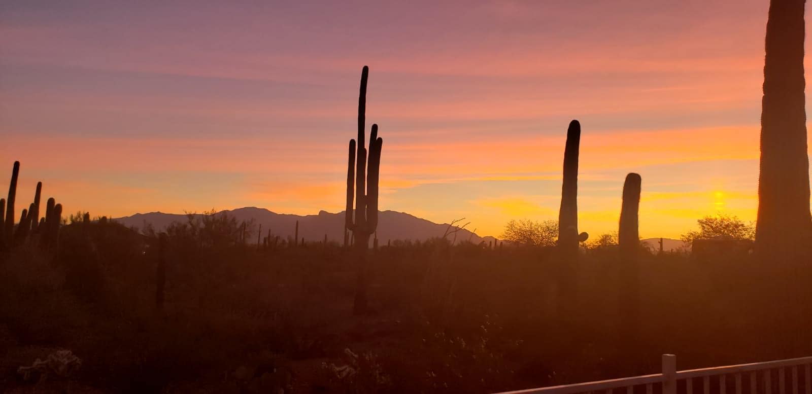 View of the evening sky from the porch. 