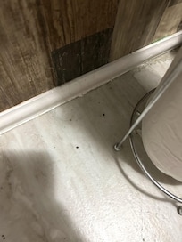 filthy bathroom floor, including hair