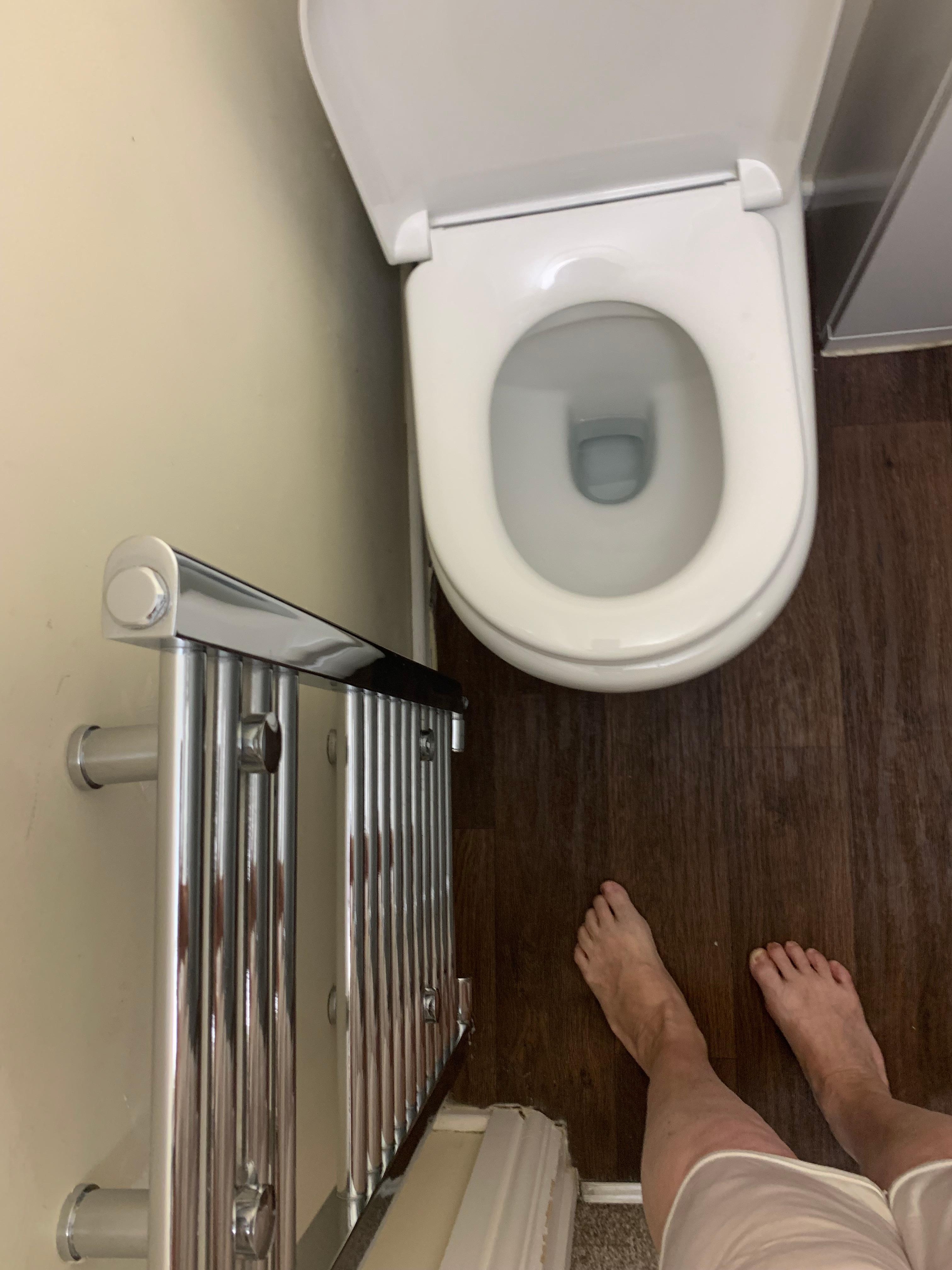 Toilet and heated towel rack.