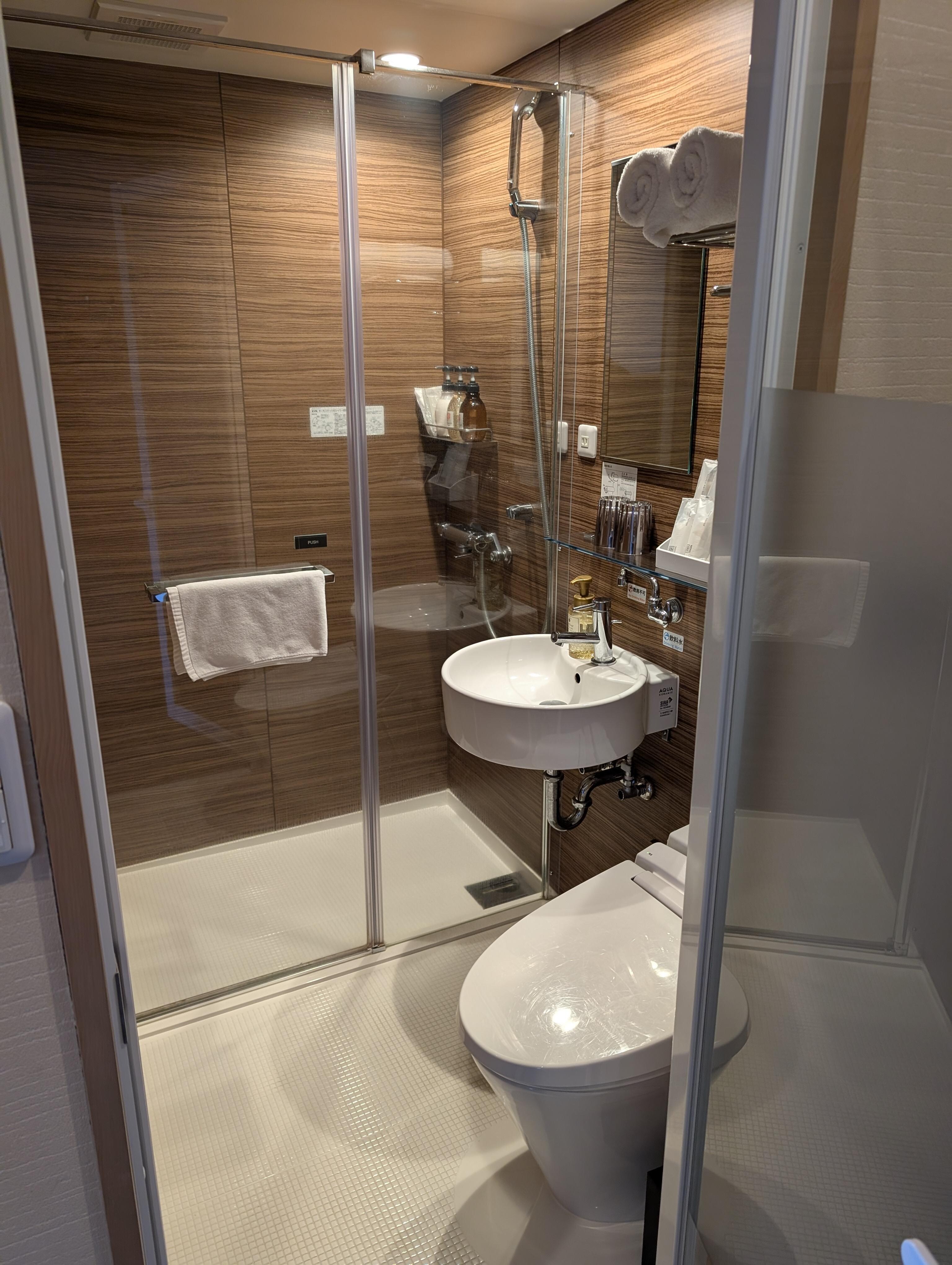 The bathroom seemed really nice at first.  Then I tried it, and its flaws became more apparent.