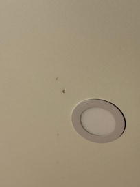 Dead bug on ceiling