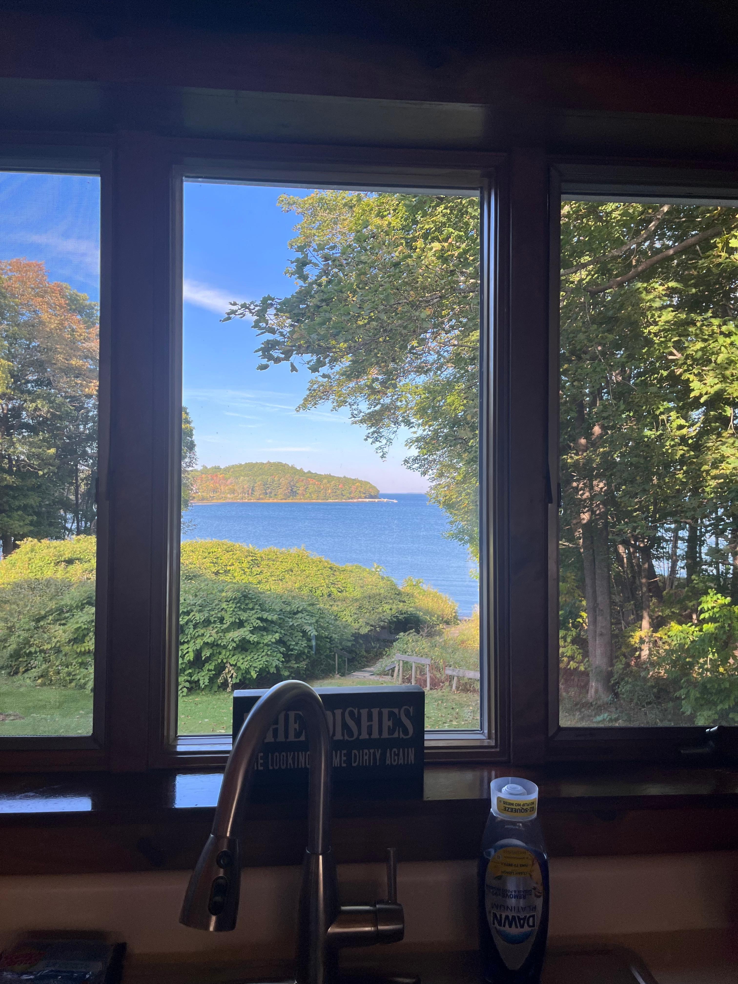 View from the kitchen window. 