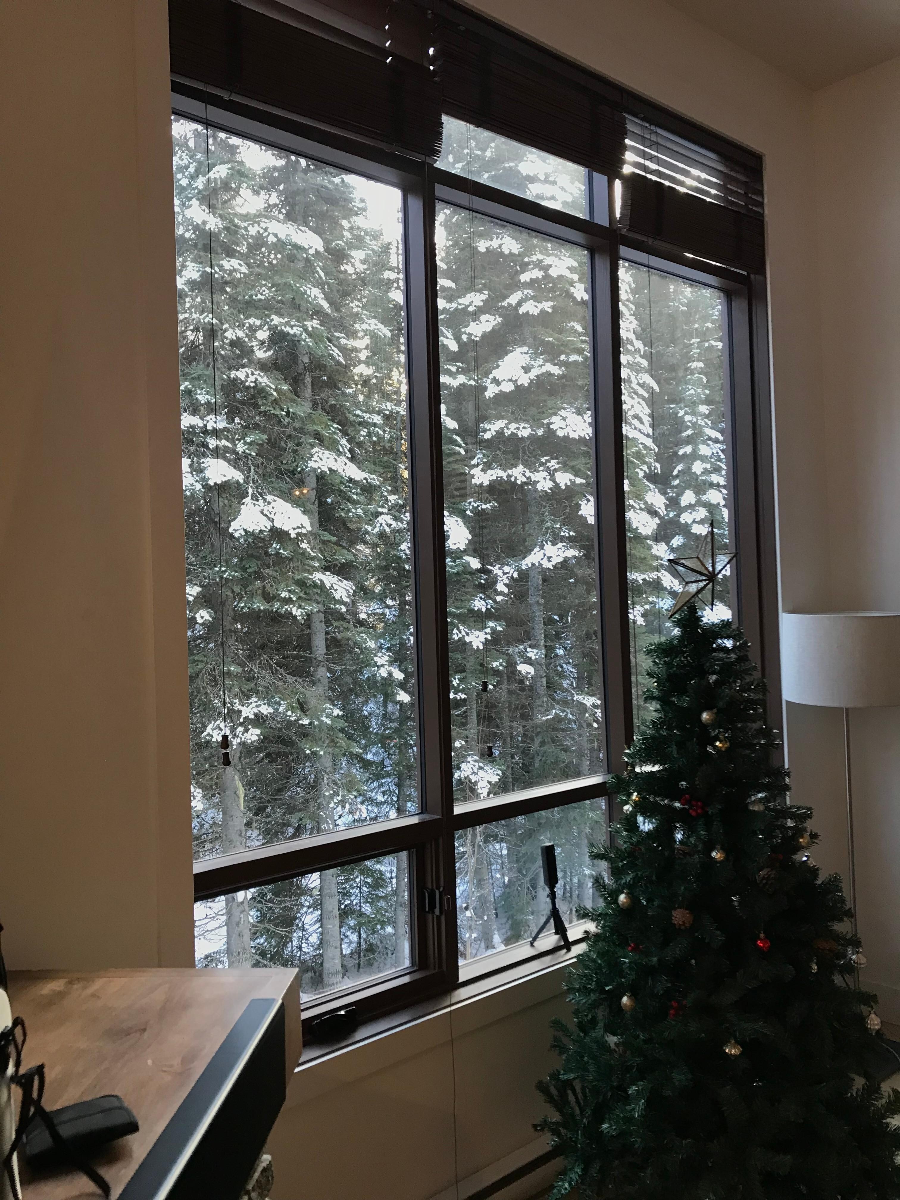 Nice view out the living room window