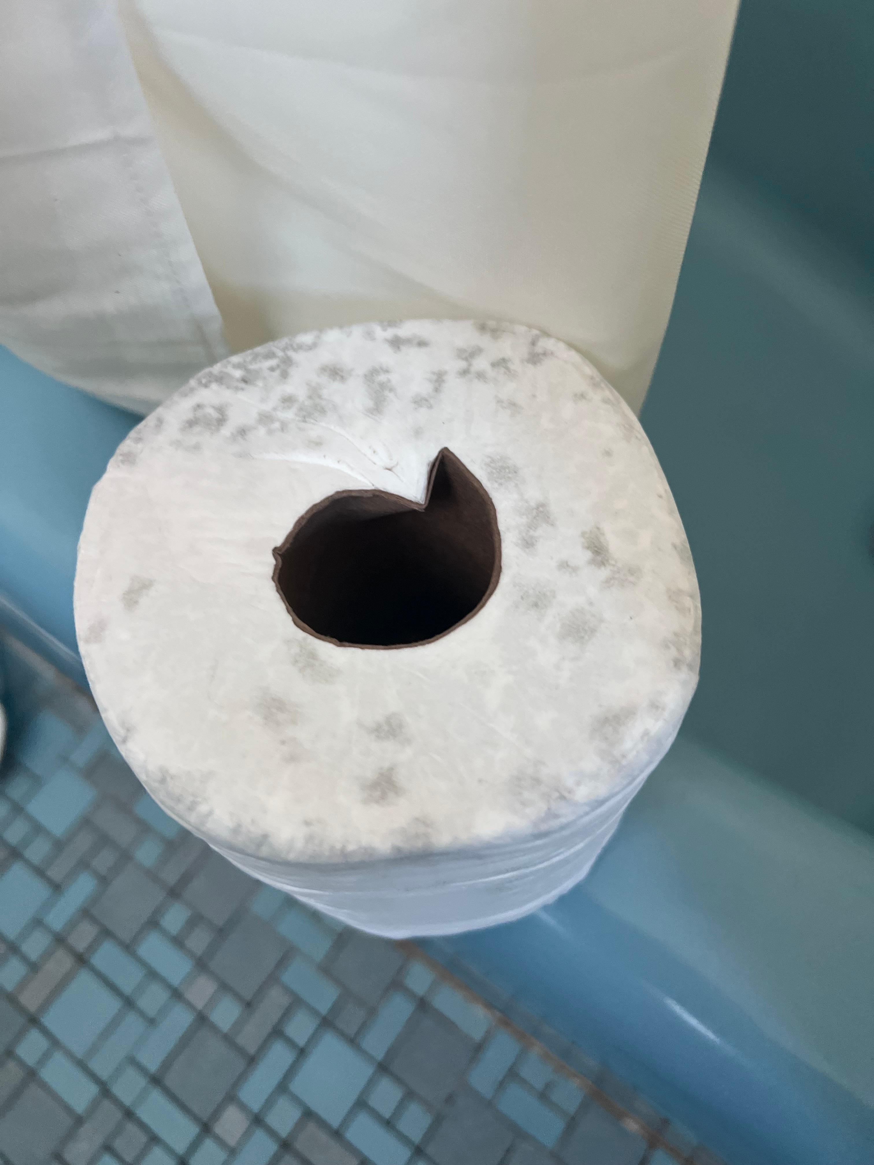 Moldy toilet paper straight out of the wrapper