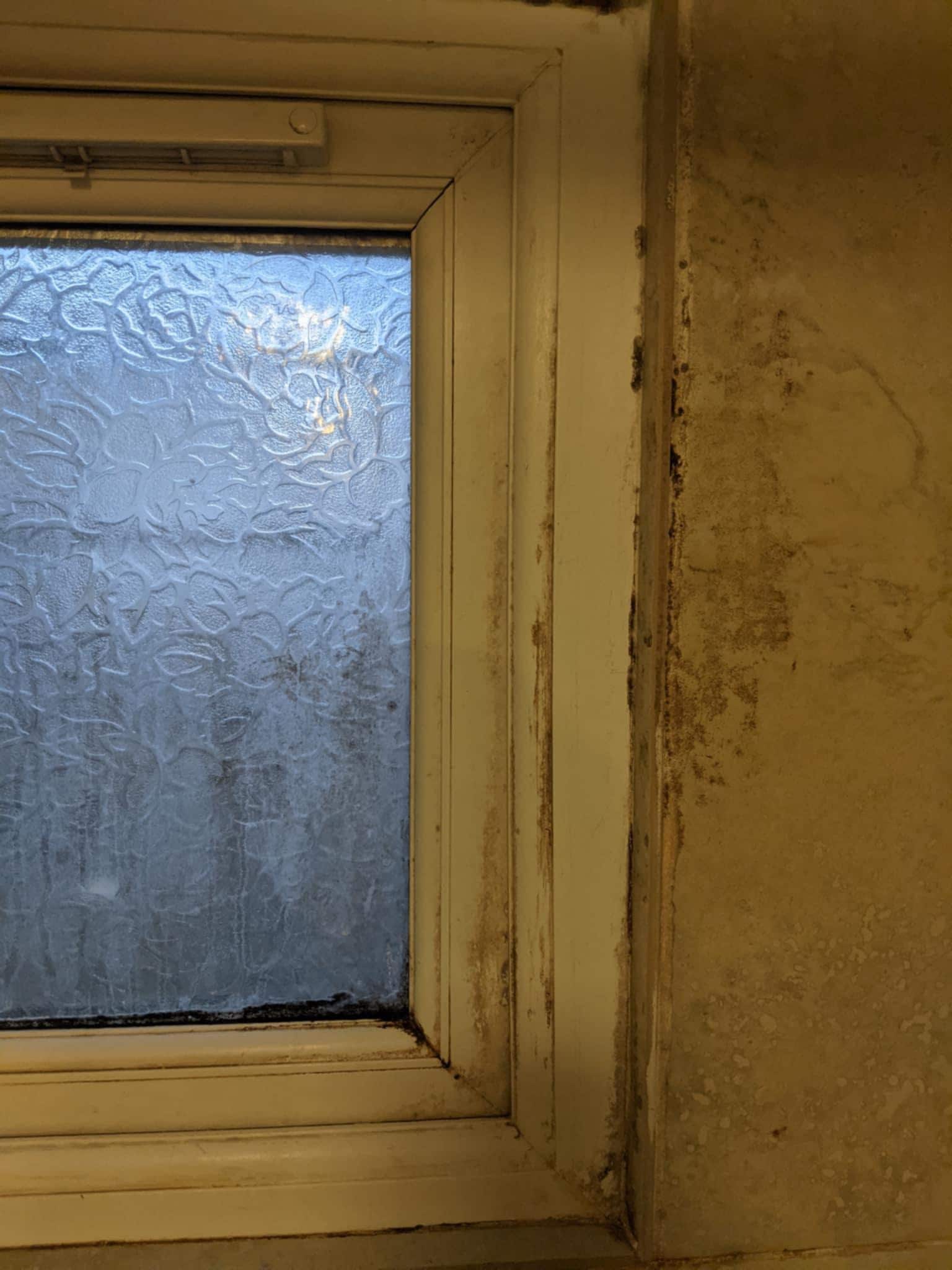 Mold on the shower window 