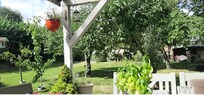 Sitzecke im Garten mit Bedachung