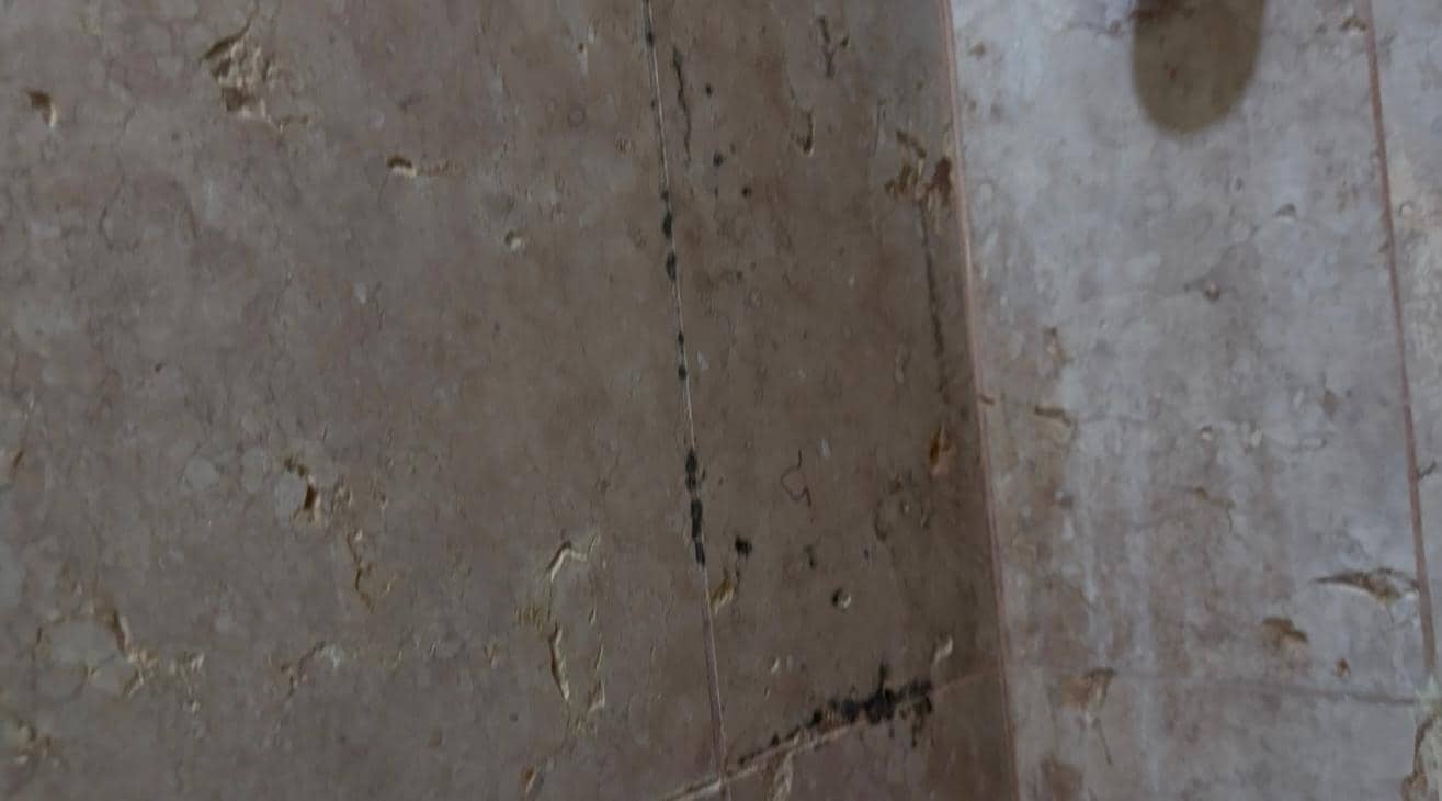 Gungy stuff in shower