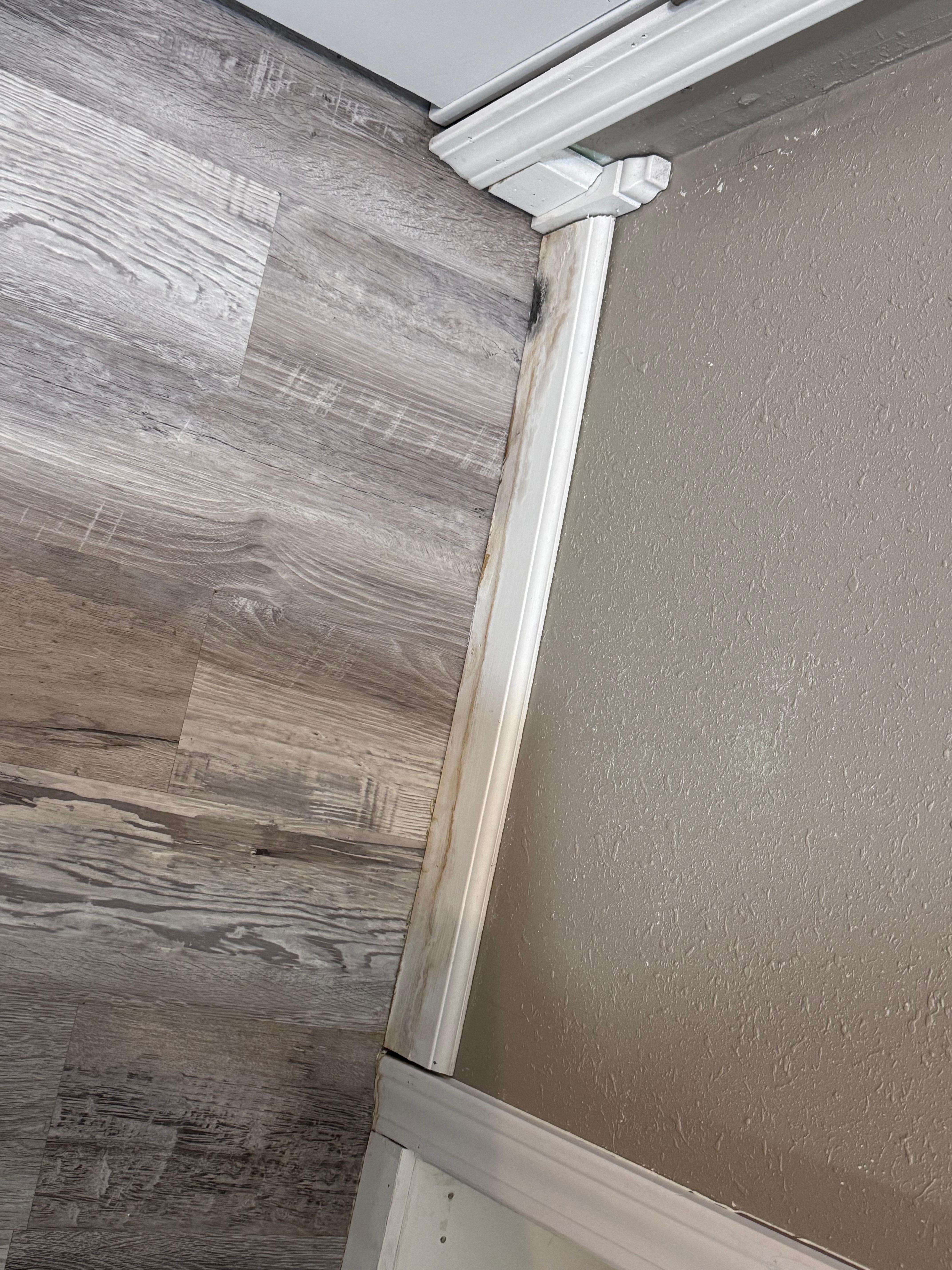 Downstairs water damaged 