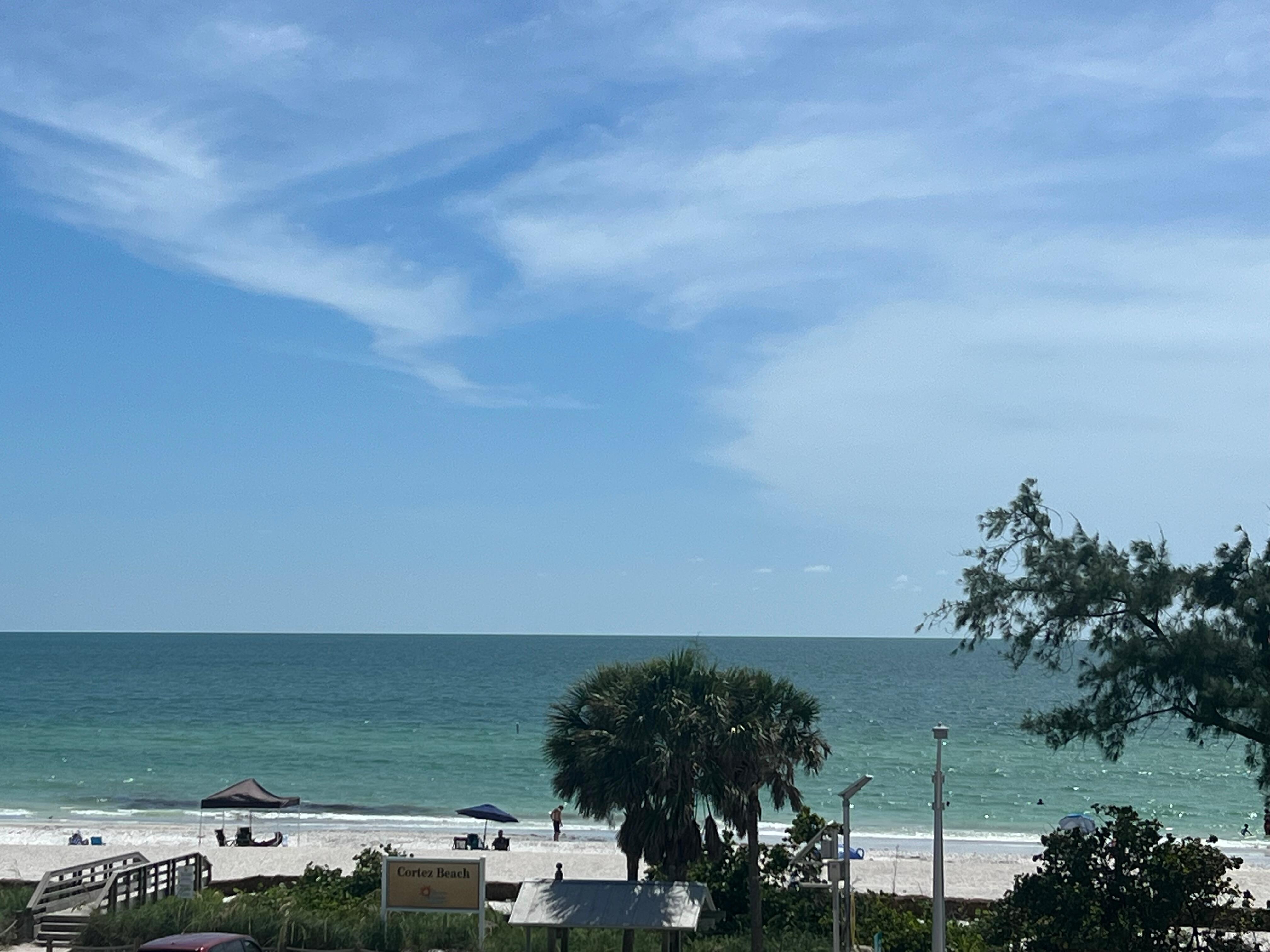 View from the house