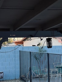 1 of the many cats that walked the wall to visit litter box.