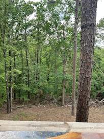 View from back deck.