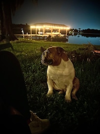 A great night for s’mores