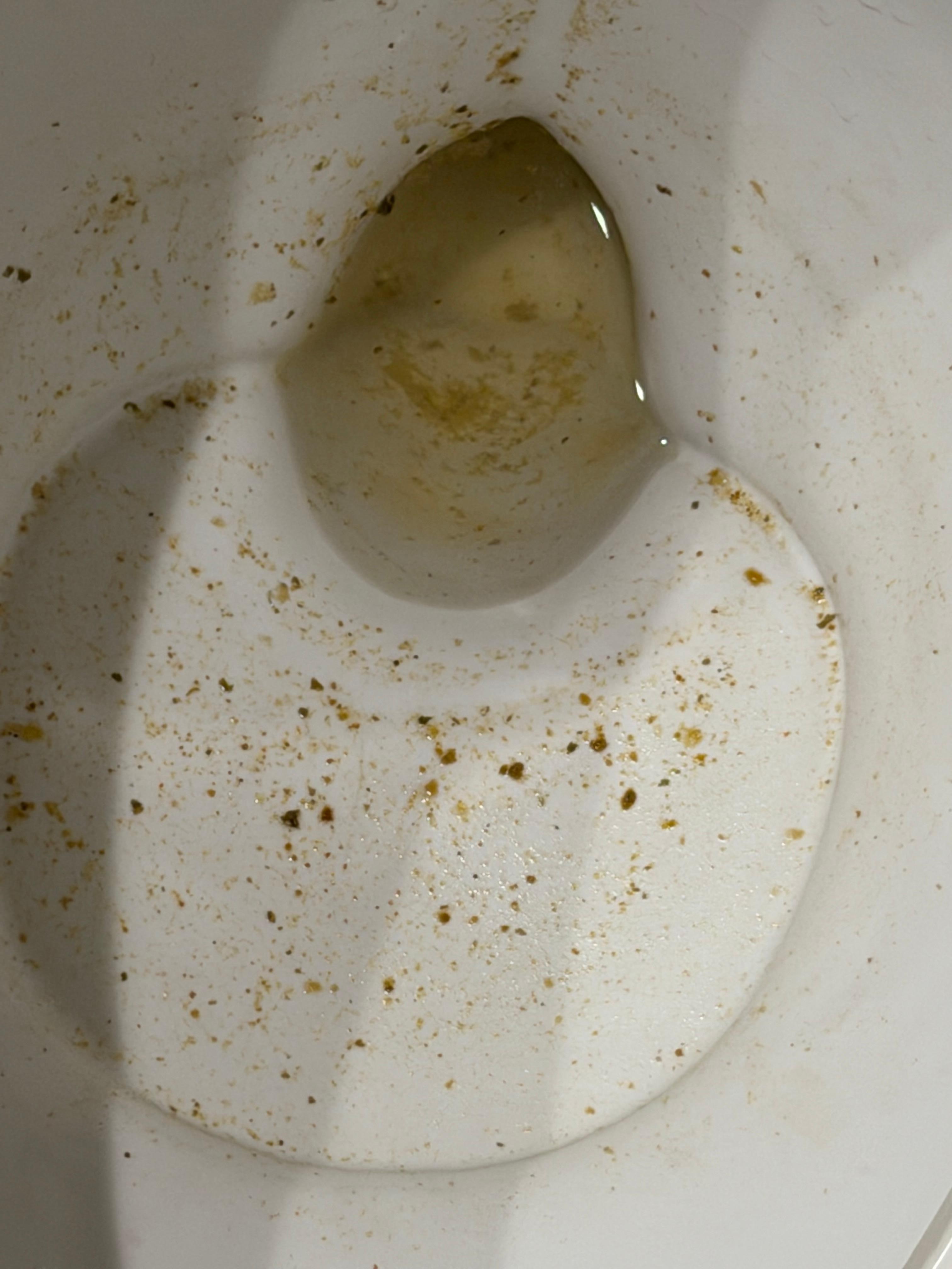 This is how the toilet flushes and u have to plunge it every time