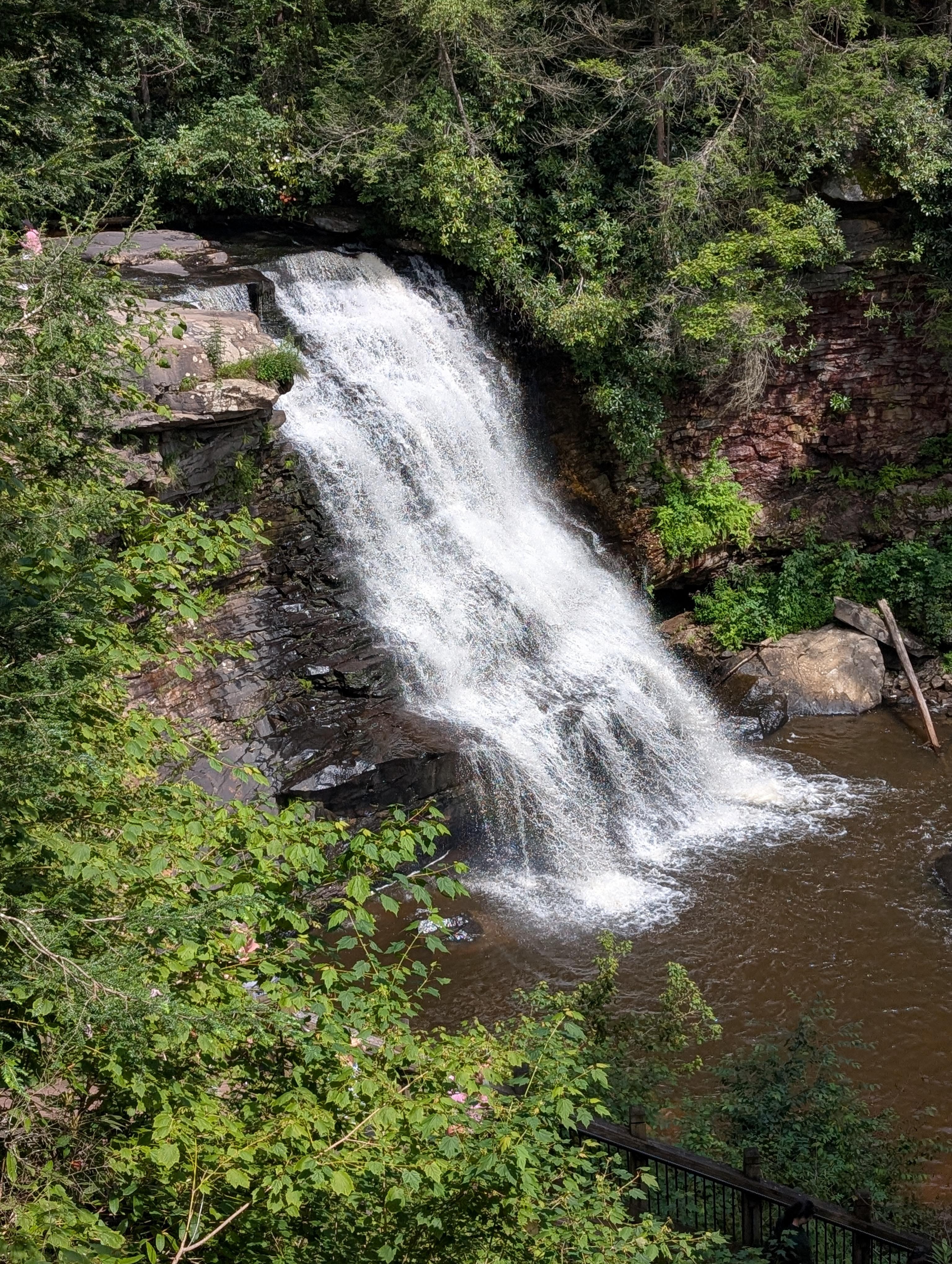 Swallow Falls State Park