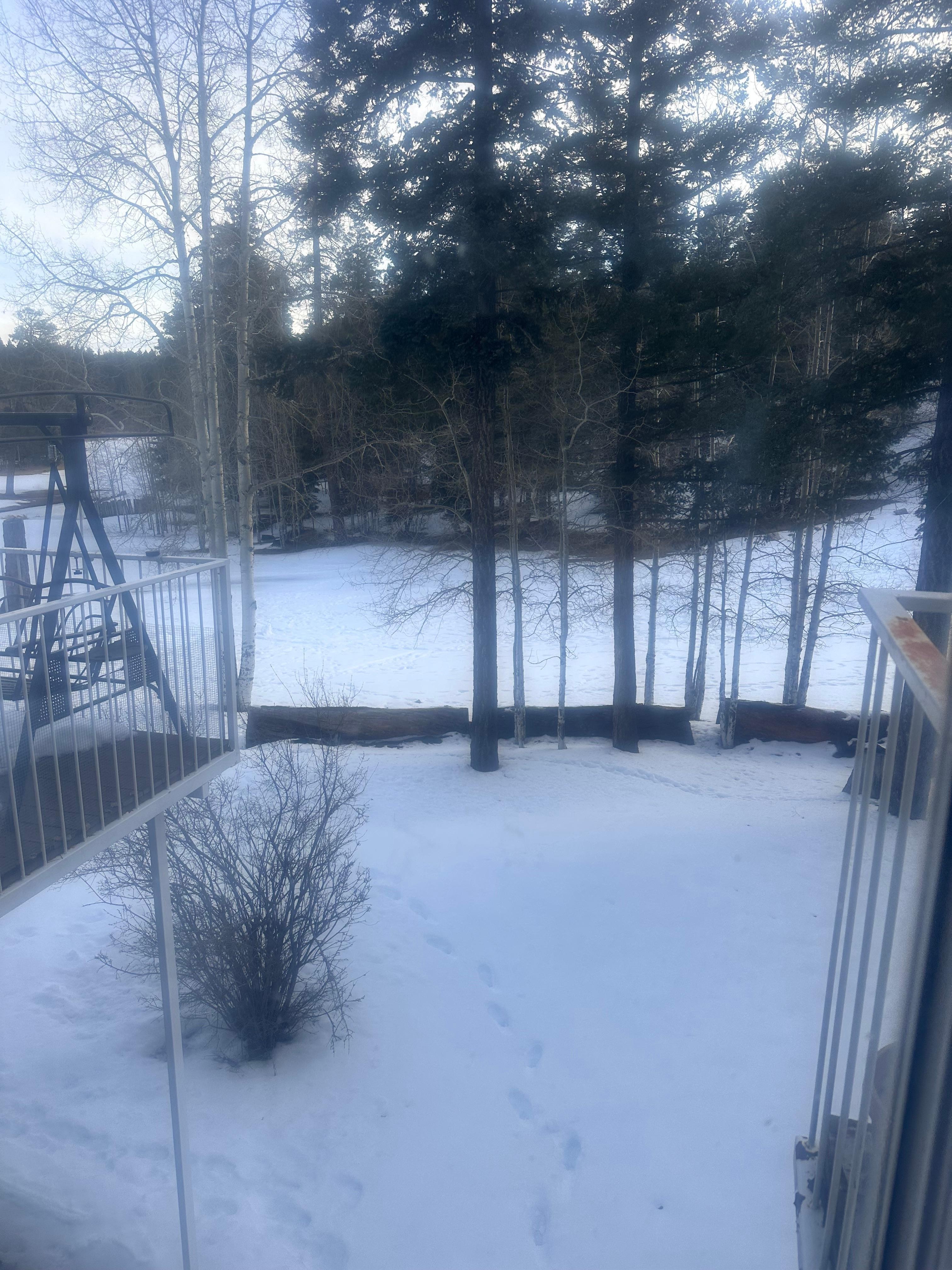 View from inside on to golf course.