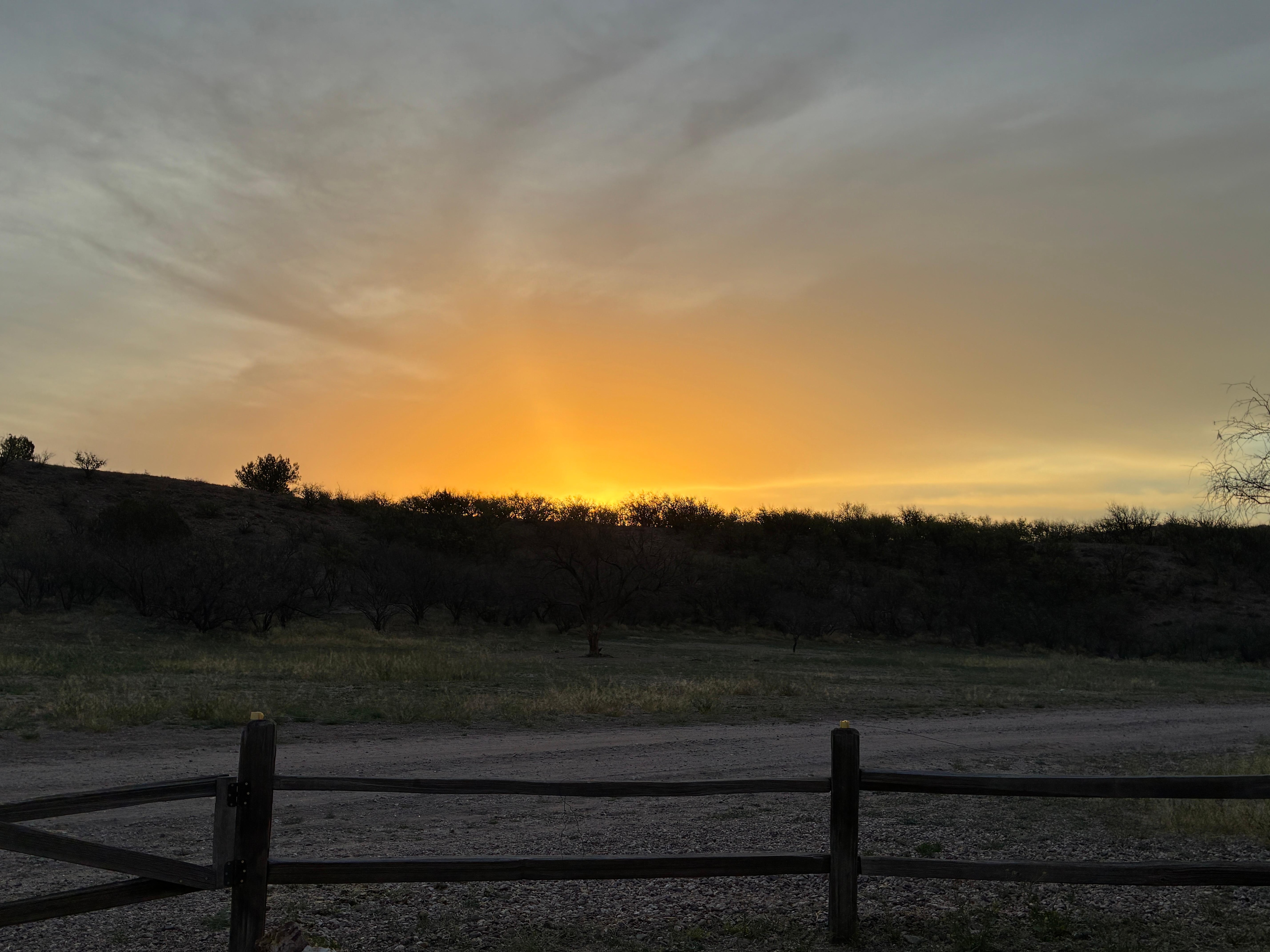 Morning view from trailer patio 