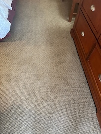 Stained carpet