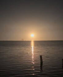 The launch of the Falcon 9 rocket.