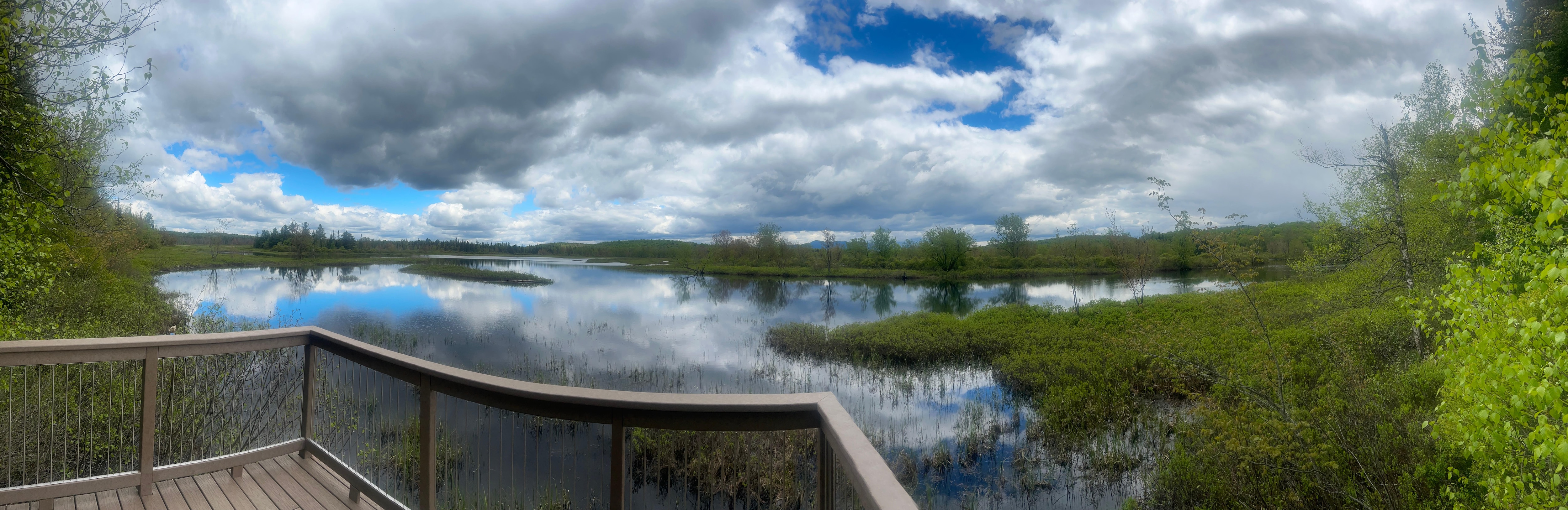 Wild Center was cool!