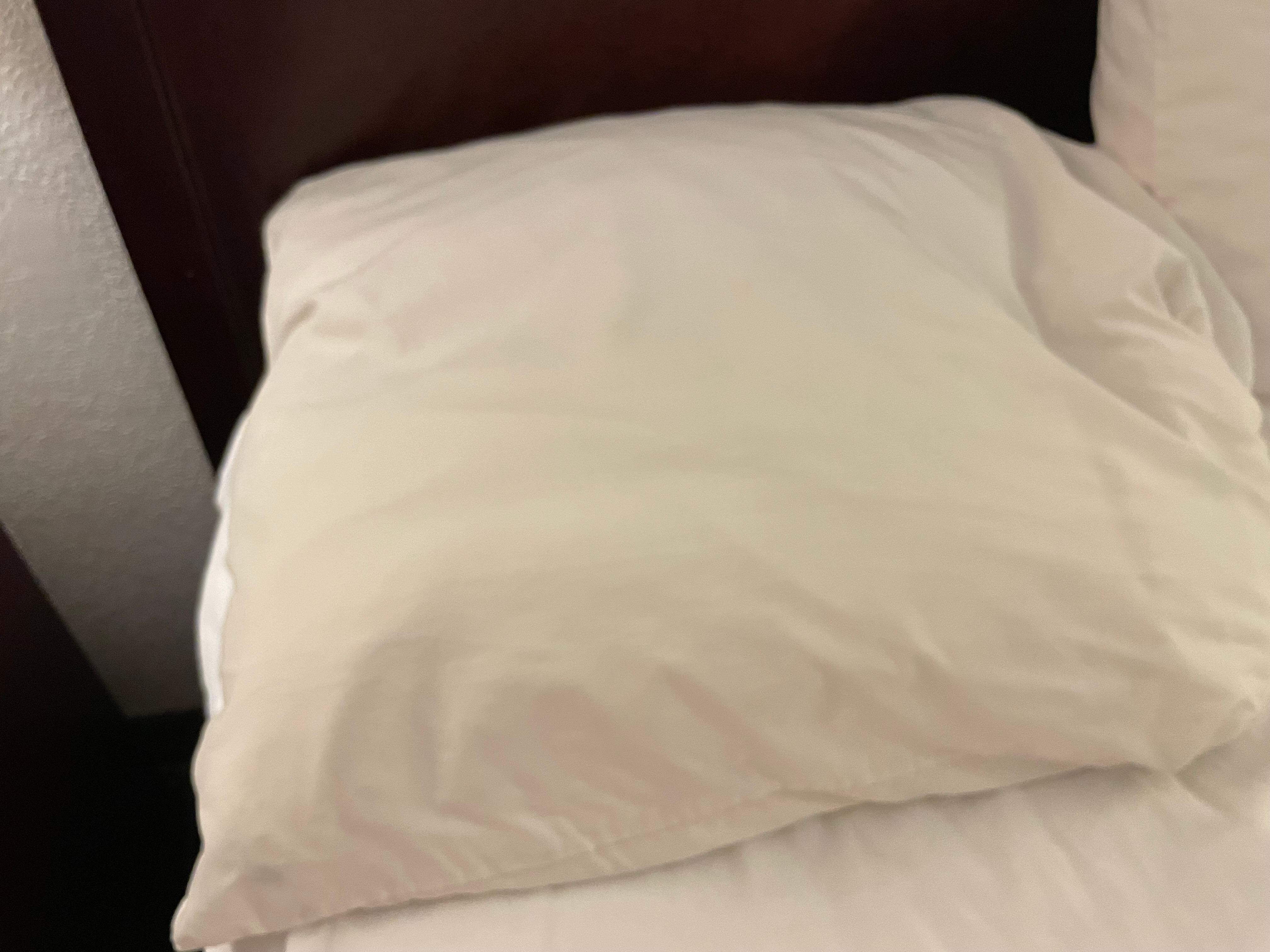 Pillows were smaller than a regular pillow