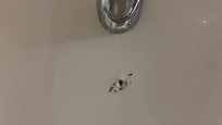 114-hole in shower wall