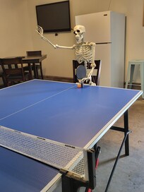 Plenty of recreational activities