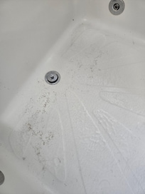 Dirty bathtub in main bathroom.