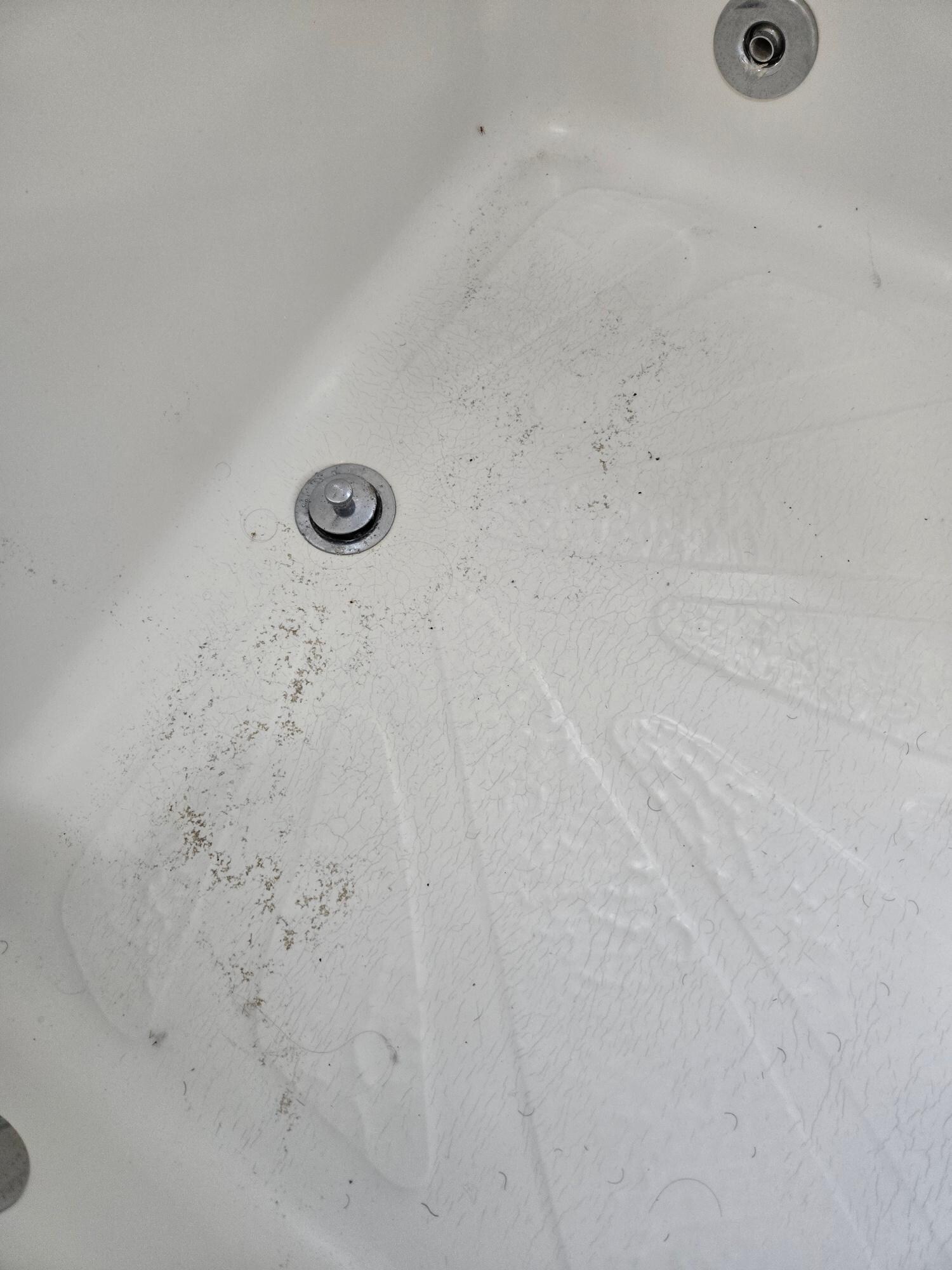 Dirty bathtub in main bathroom.