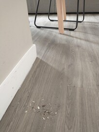 Floor crumbs collected in the dining area