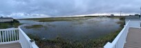 view from the back porch during low tide